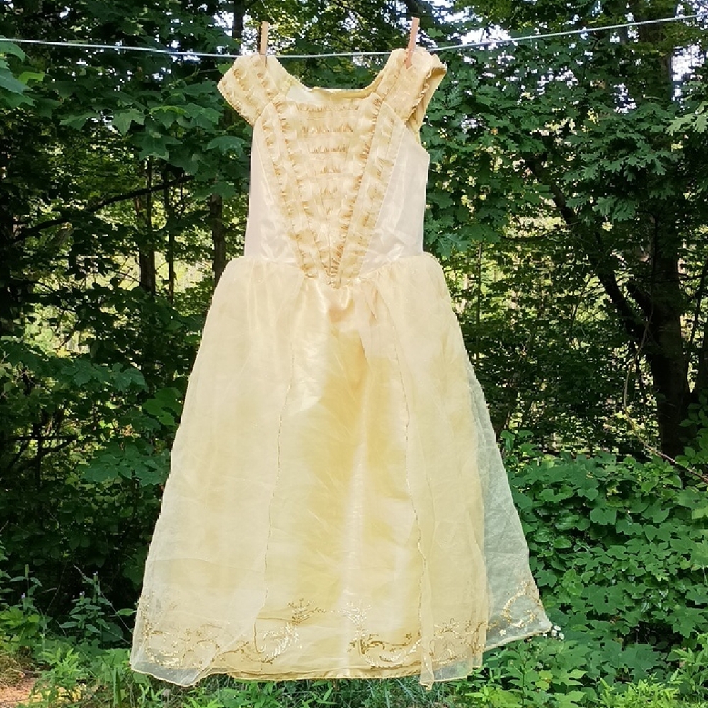 Belle Dress up Dress